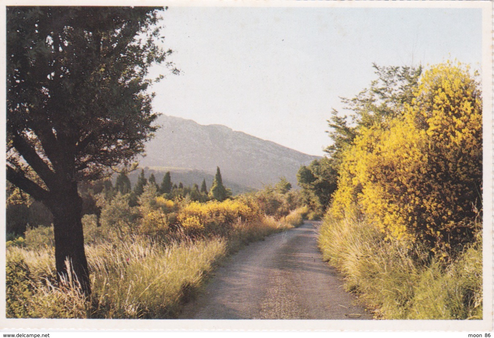 2 CARTE POSTALES - MARQUE TRACTEUR  MASSEY FERGUSON - PAYSAGE DE LA CAMPAGNE - FEMME DANS CHAMPS DE BLÉ - - Tracteurs