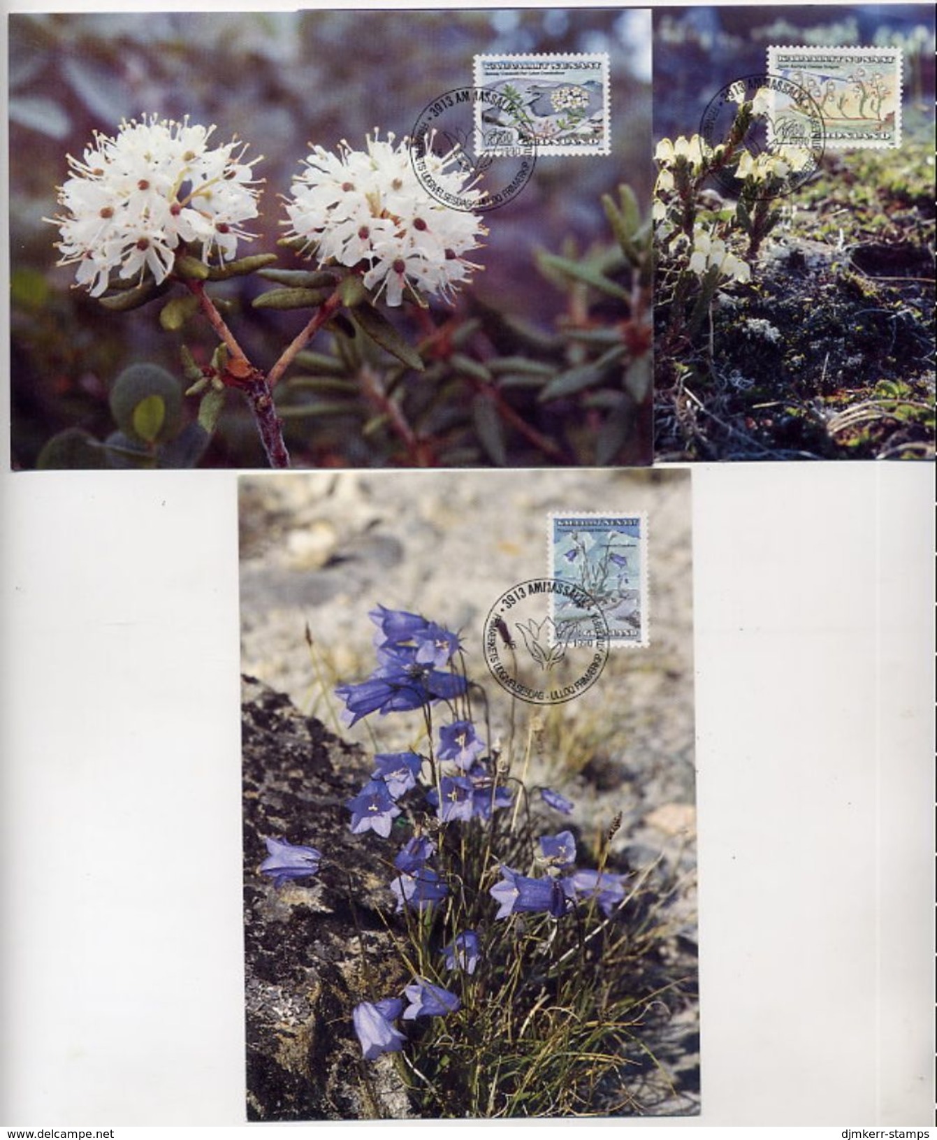 GREENLAND 1990 Flowers II On Three Maximum Cards.  Michel 205-07 - Cartes-Maximum (CM)