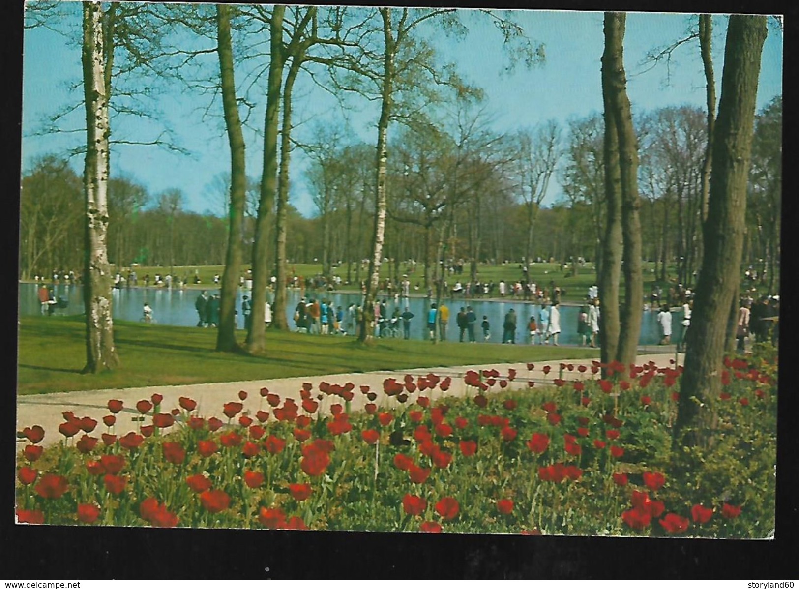 Cpm 7612594 Le Havre La Foret De Montgeon Le Lac Aux Cygnes - Forêt De Montgeon