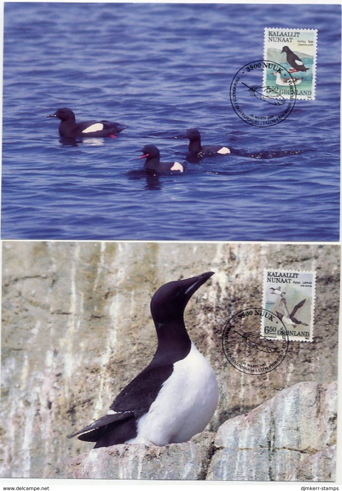 GREENLAND 1989 Birds III.on Maximum Cards.  Michel 191-94 - Maximum Cards