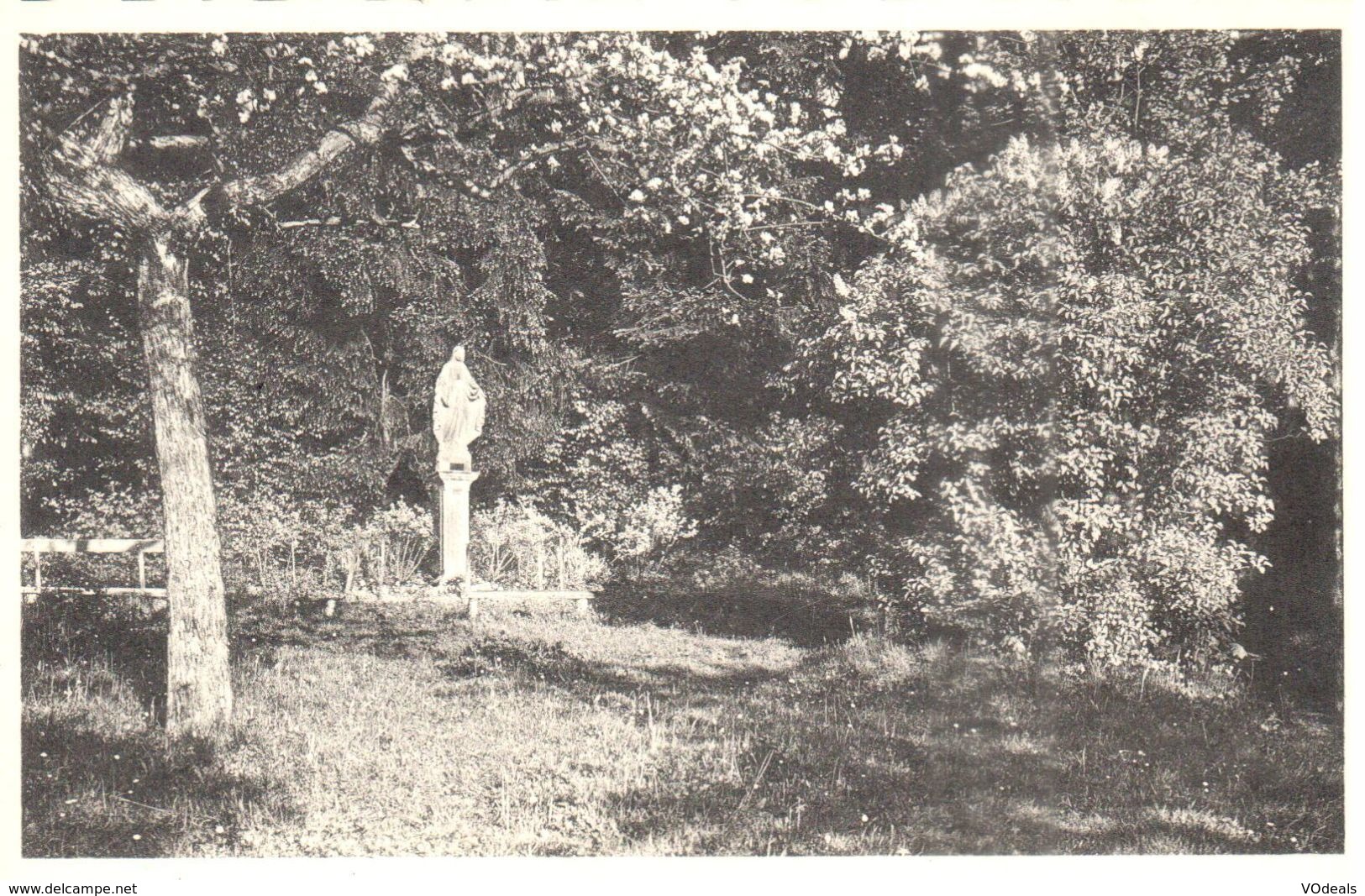 Yvoir - Godinne Sur Meuse - Acceuil Ste Dorothée - La Vierge Dans Le Parc - Yvoir