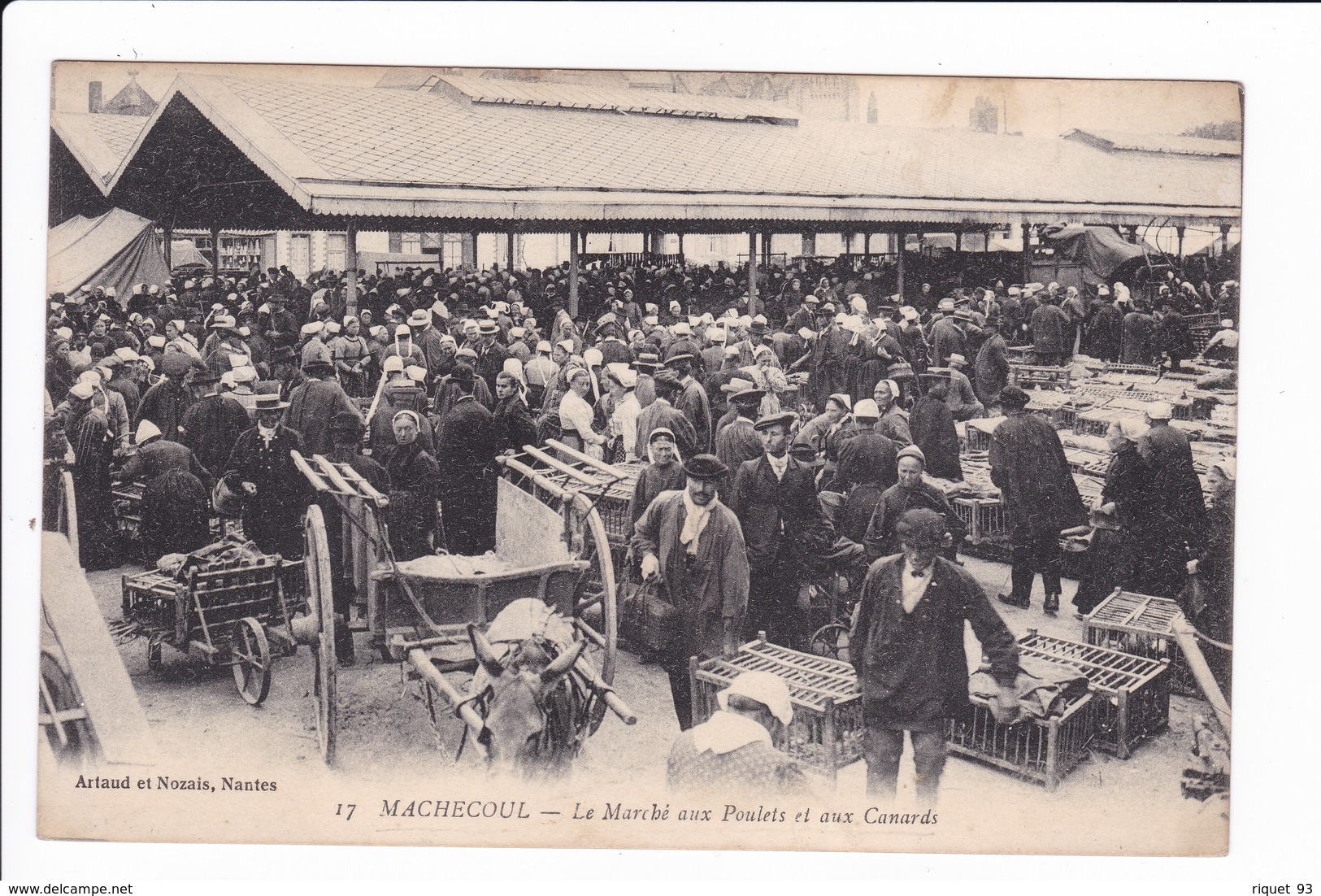 17 - MACHECOUL - Le Marché Aux Poulets Et Aux Canards - Machecoul