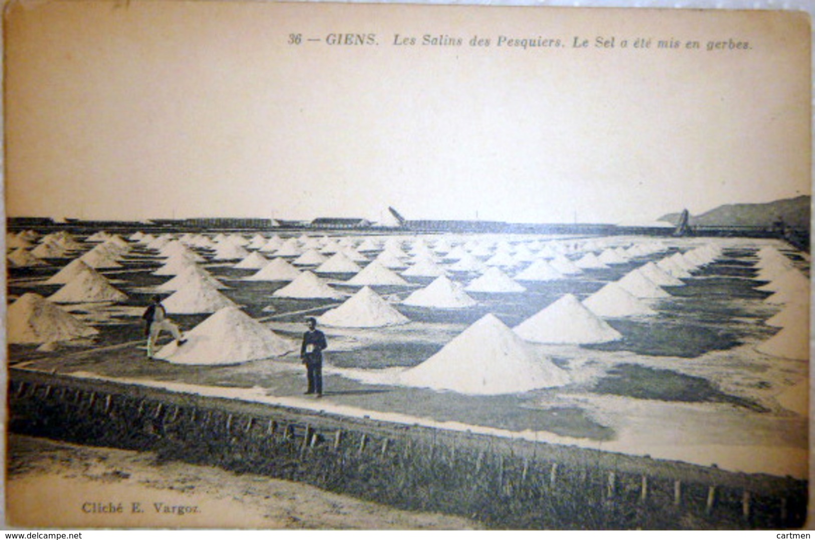 83 GIENS SEL MARAIS SALANTS SALINS DES PESQUIERS  SEL MIS EN GERBE  TRES BON ETAT - Autres & Non Classés