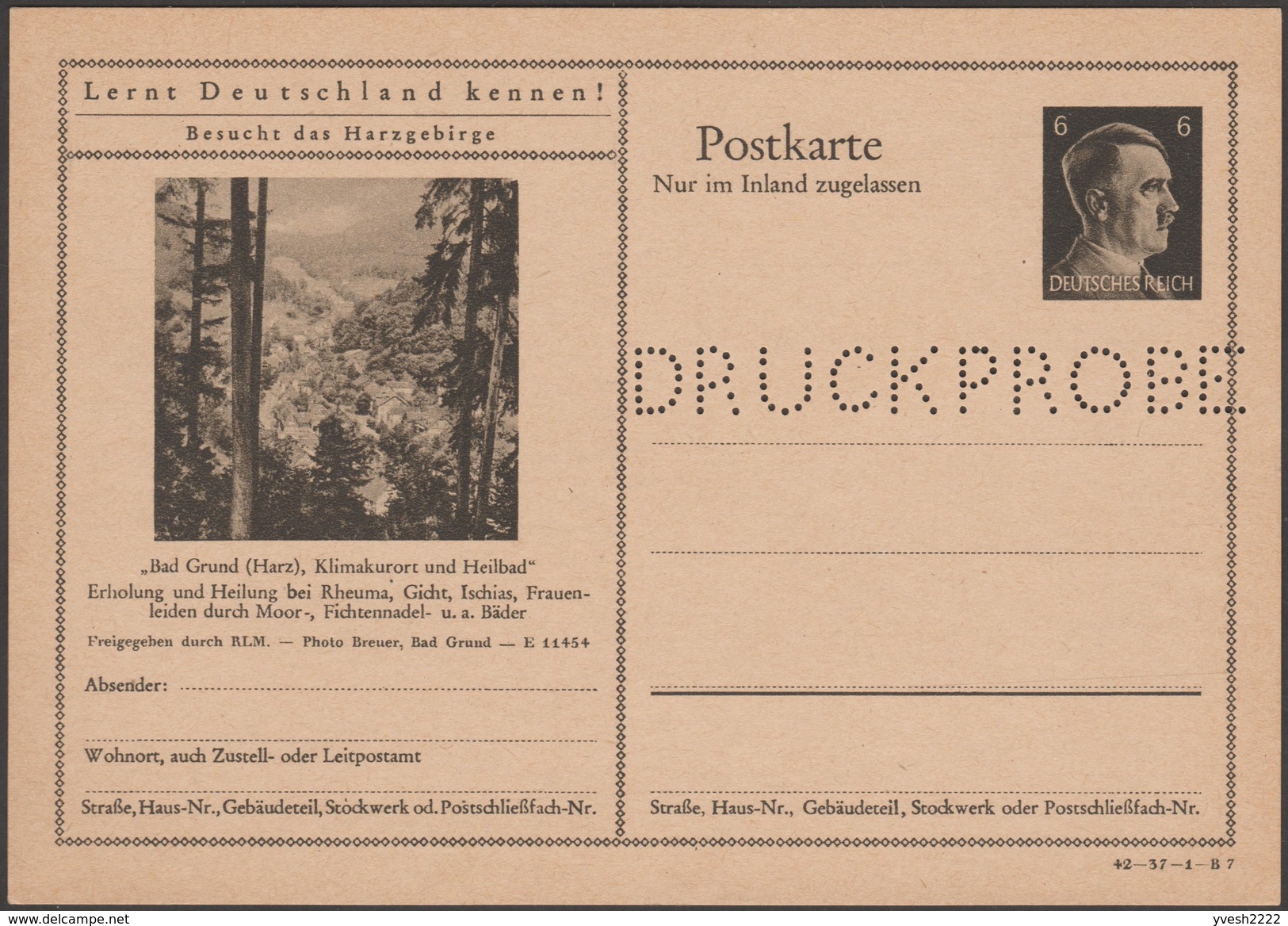 Allemagne 1942. Entier Postal Touristique Perforé Druckmuster, Spécimen. Bad Grund, Harzgebirge. Rhumatisme, Gynécologie - Termalismo