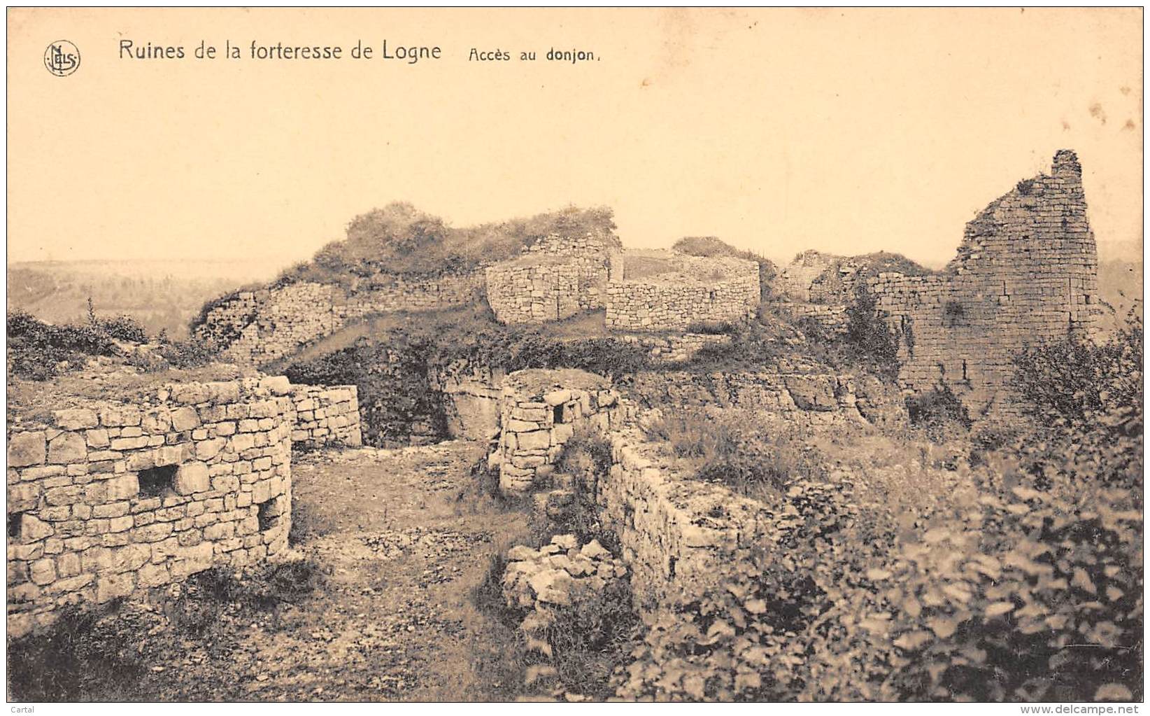 Ruines De La Forteresse De Logne.  Accès Au Donjon. - Ferrières