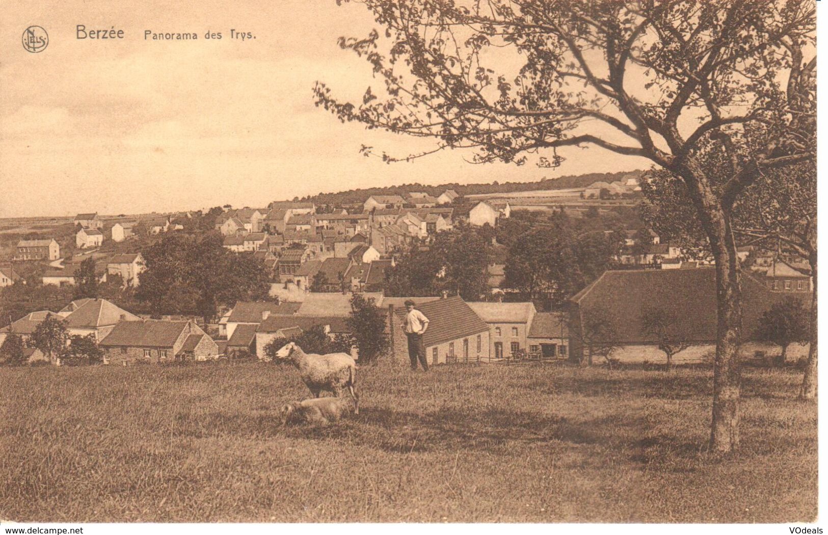 Ham-sur-Heure-Nalinnes - Berzée - Panorama Des Trys - Ham-sur-Heure-Nalinnes