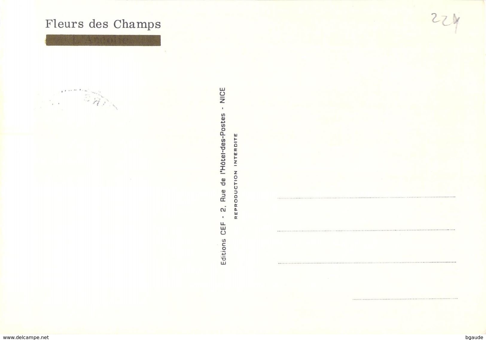 ANDORRE FRANCAIS  CARTE MAXIMUM  NUM.YVERT  229 FLORE FLEUR LYS - Cartes-Maximum (CM)