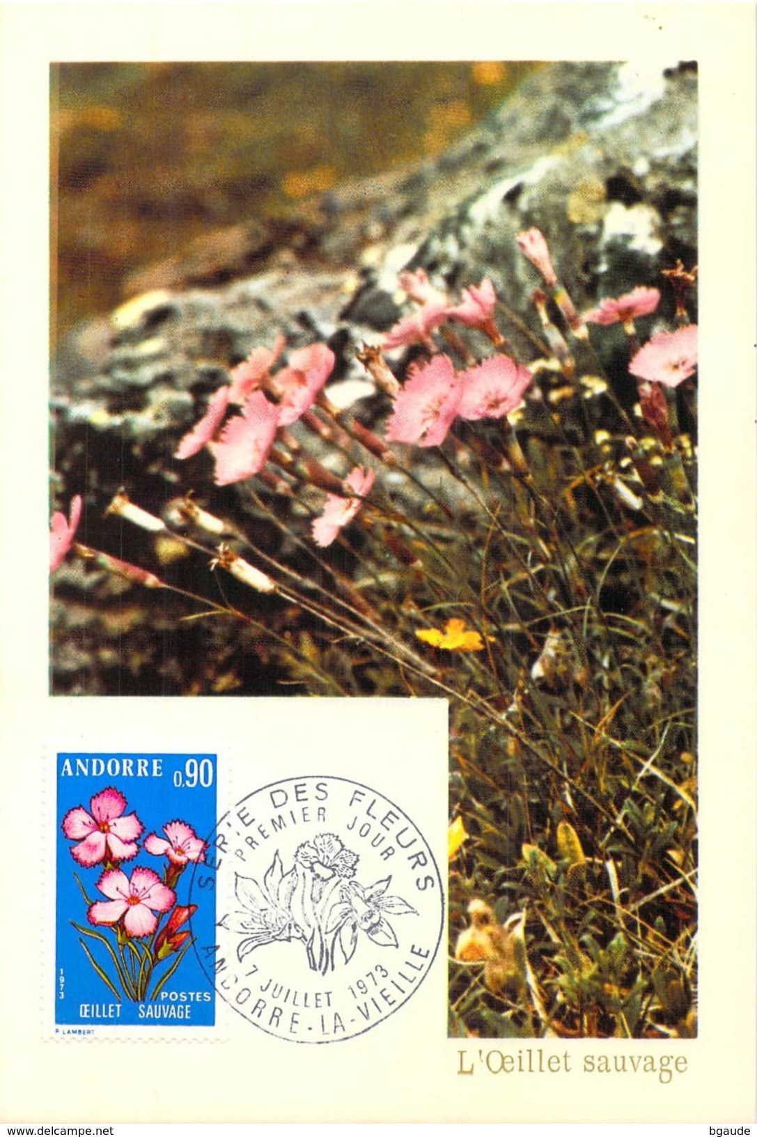 ANDORRE FRANCAIS  CARTE MAXIMUM  NUM.YVERT  231 FLORE FLEUR OEILLET - Cartes-Maximum (CM)