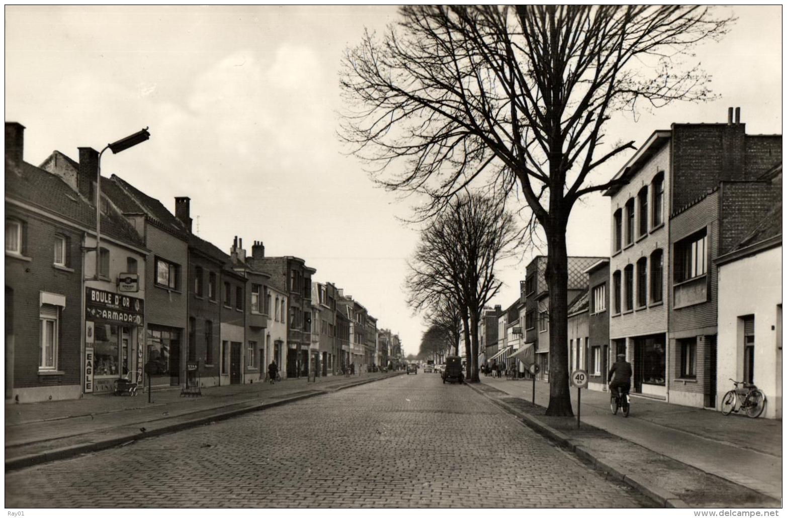 BELGIQUE - ANVERS - ANTWERPEN - WILRIJK - Leesbibliotheek Moderna. (Bibliothèque). - Antwerpen