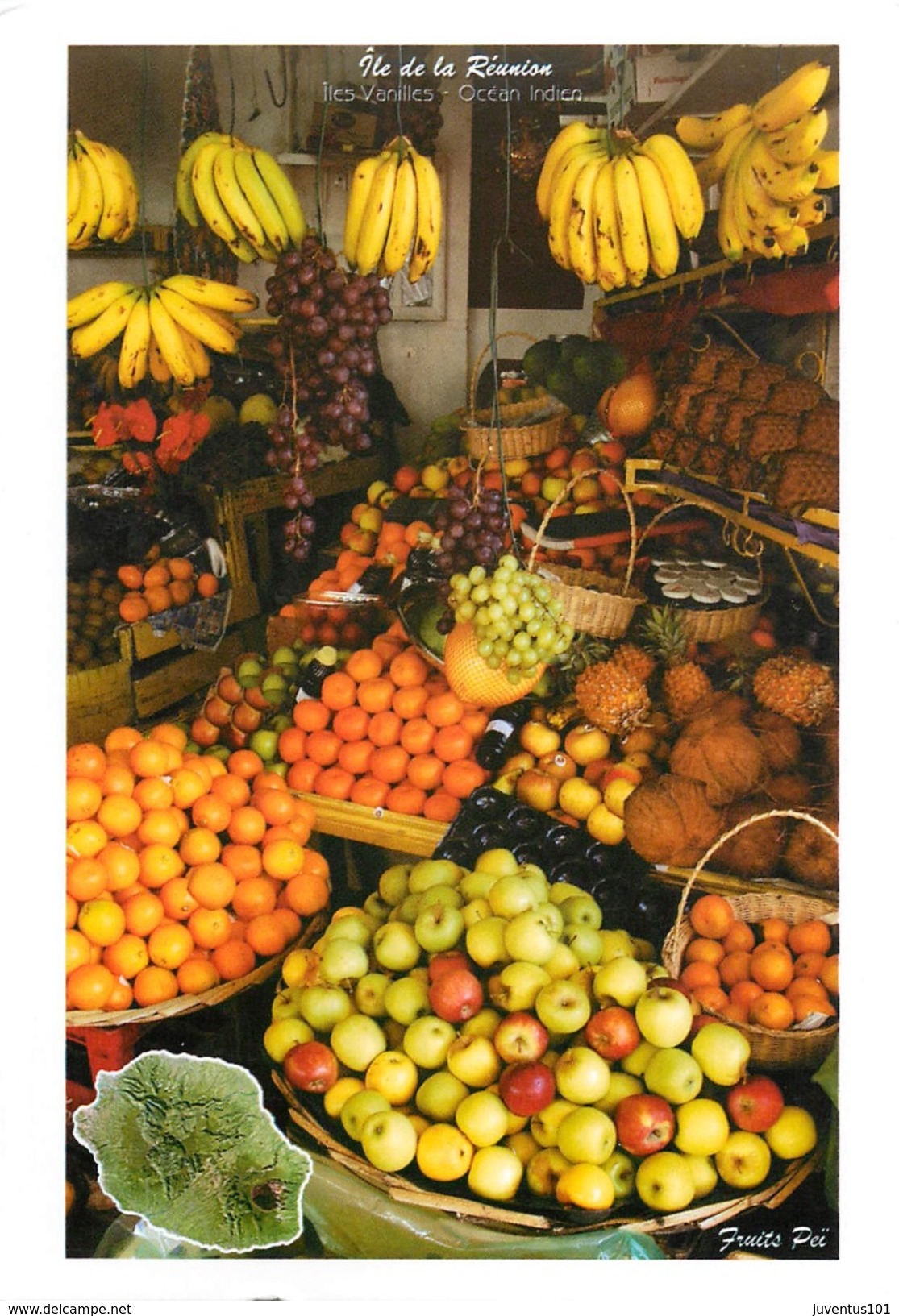CPSM La Réunion-Fruits Exotiques    L2511 - Saint Paul