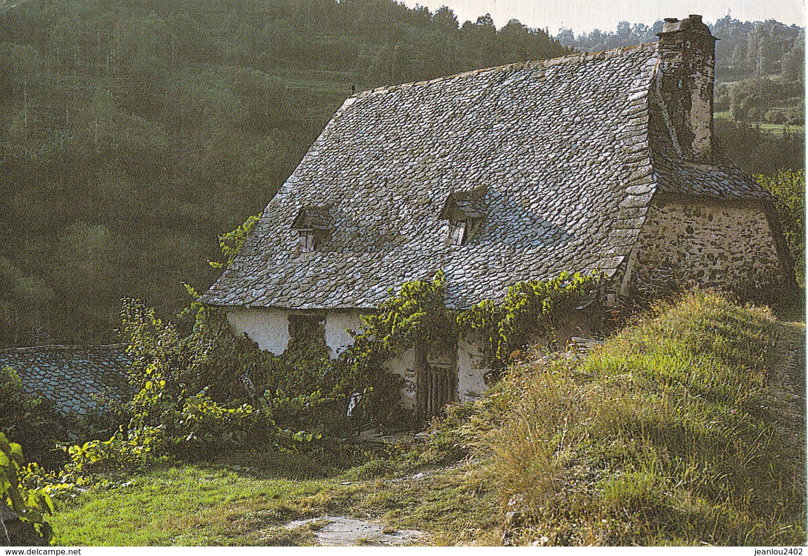 TOIT DE LAUZES - Saint Flour