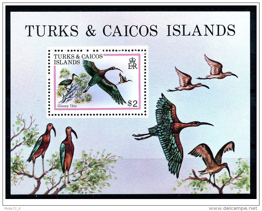 Turks &amp; Caicos - 1980 - Nuovo/new MNH - Uccelli - Mi Block N. 21 - Turks E Caicos