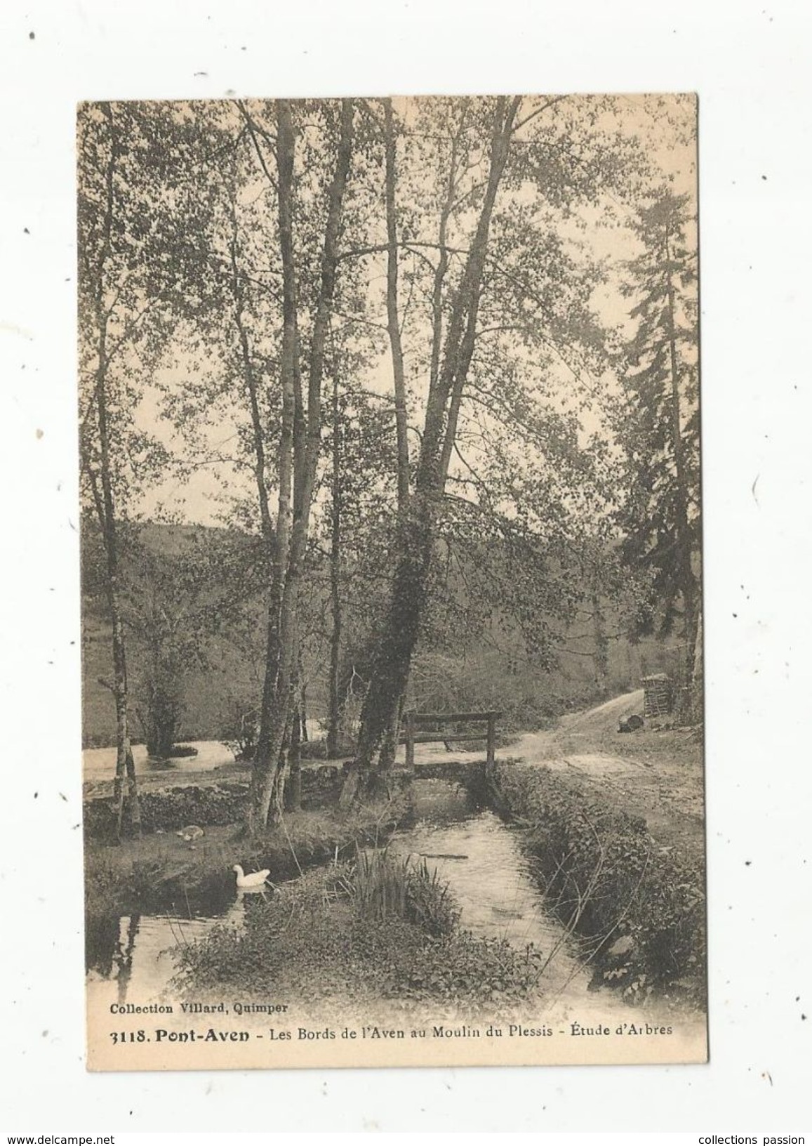 Cp, 29 , PONT AVEN , Les Bords De L'Aven Au Moulin Du Plessis, étude D'arbres , Vierge - Pont Aven