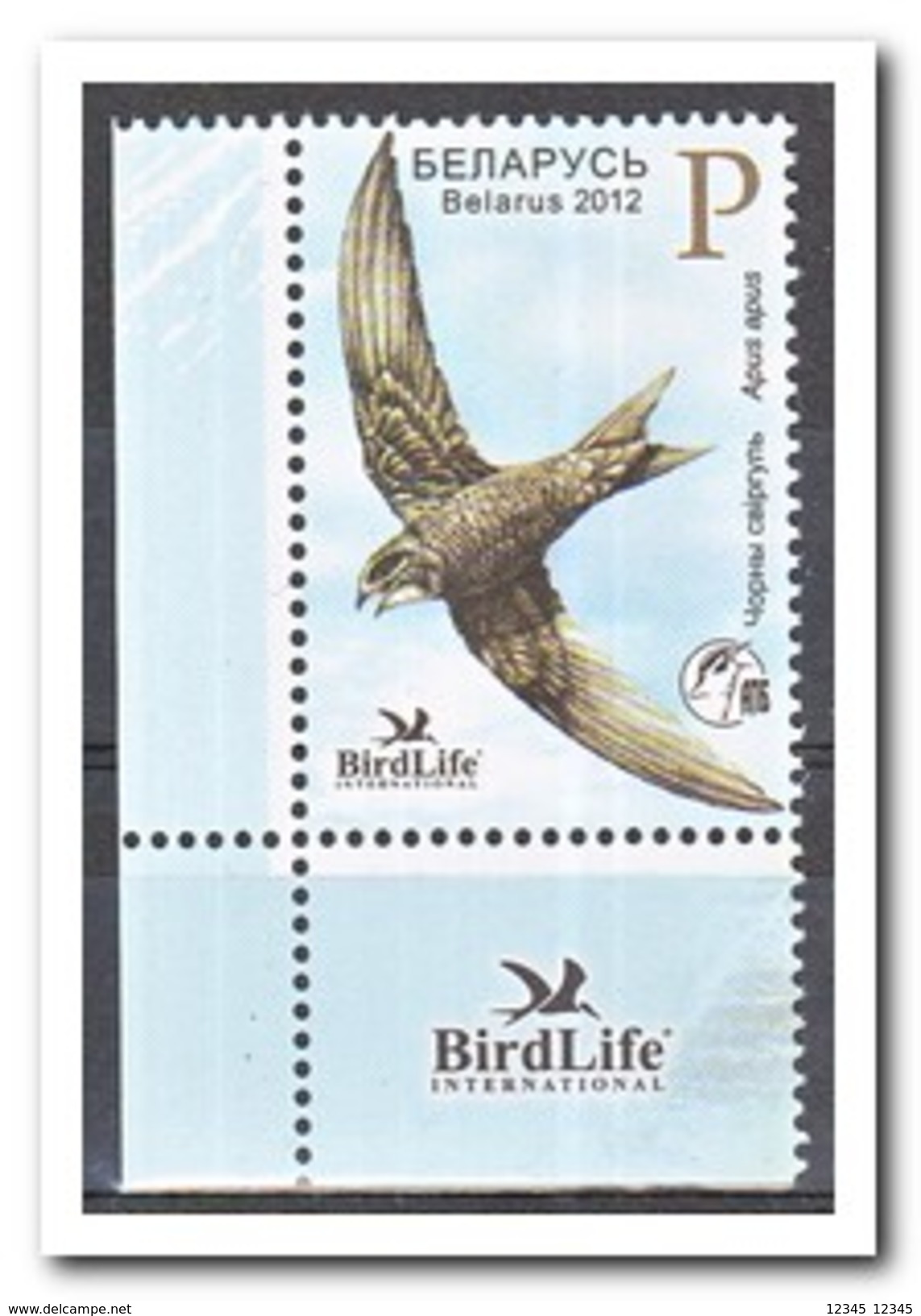 Wit Rusland 2012, Postfris MNH, Birds - Wit-Rusland