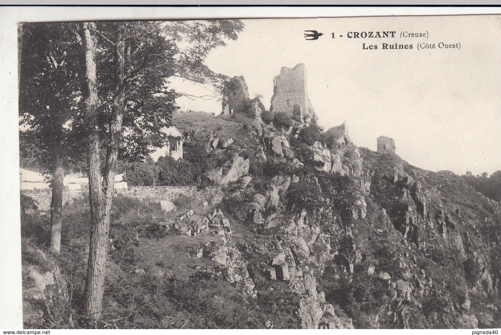 Cp , 23 , CROZANT , Les Ruines (Côté Ouest) - Crozant