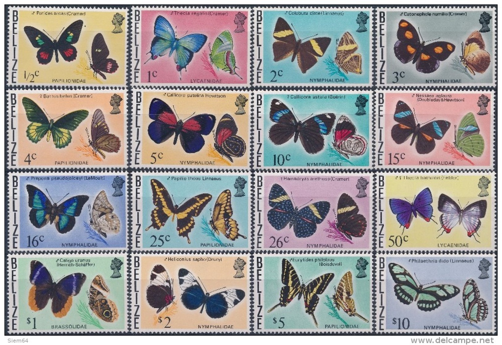 Belize Butterflies - Vlinders