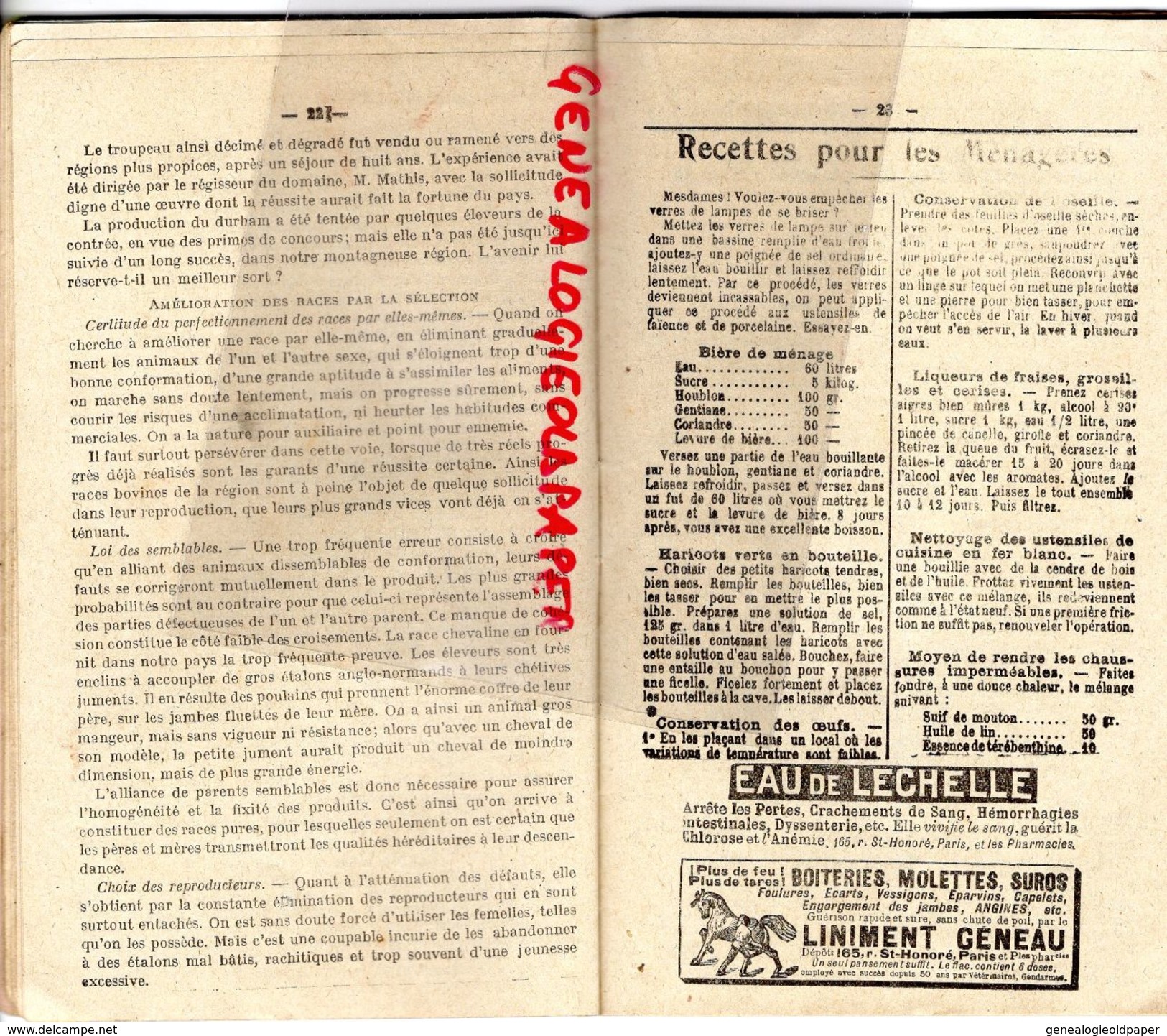 87-19-23- PETIT ALMANACH LIMOUSIN AGRICOLE ET COMMERCIAL-1918-IMPRIMERIE DUCOURTIEUX GOUT-MONTAUBAN PILULES FOSTER - Limousin