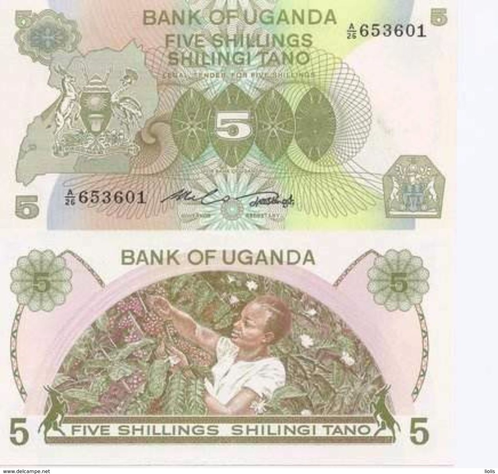 Uganda P-15  5 Shillings 1982  UNC - Uganda