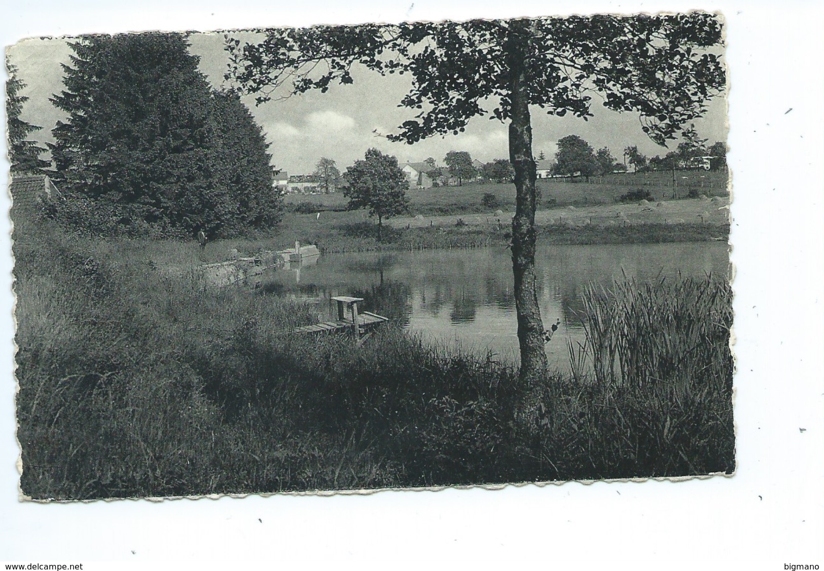 Forges Lez Chimay L'Etang Du Vieux Moulin - Chimay