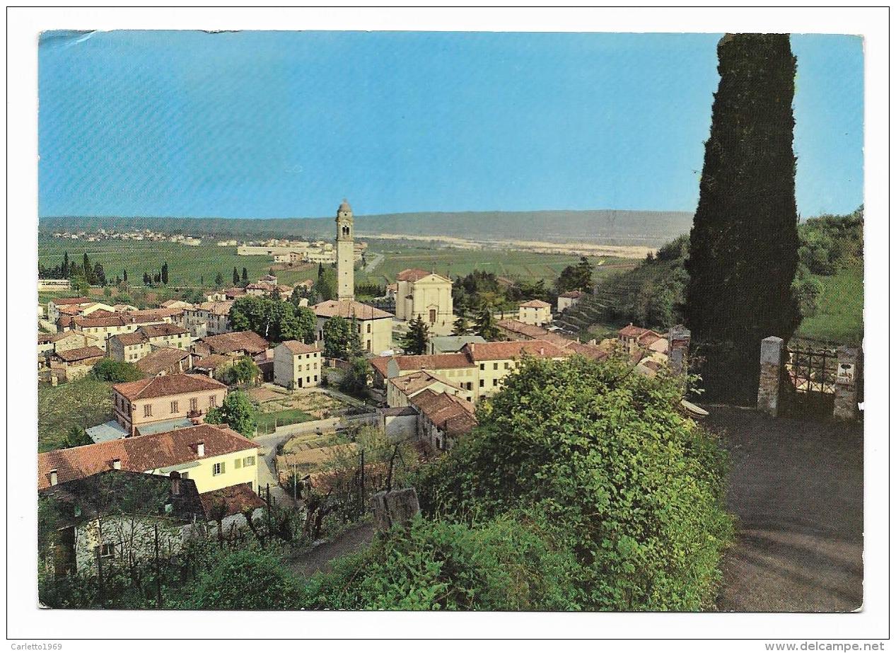 VIDOR ( TV ) PANORAMA VERSO IL MONTELLO E SACRO PIAVE  VIAGGIATA FG - Treviso