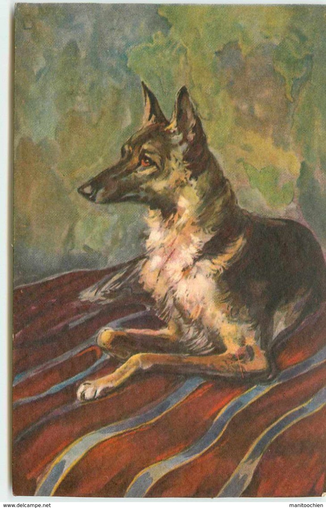 ILLUSTRATEUR INCONNU CHIEN BERGER DE POLICE - Chiens