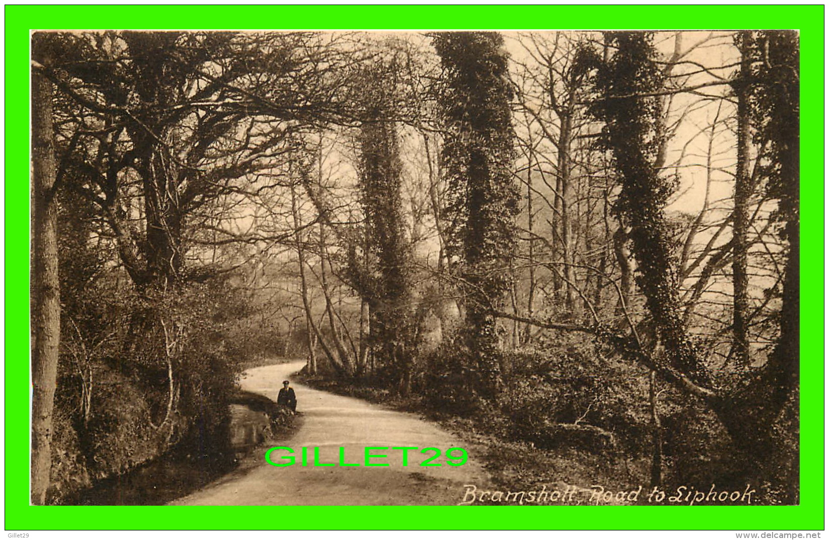 BRAMSHOTT, SURREY, UK - ROAD TO LIPHOOK -  F. FRITH & CO LTD - - Surrey