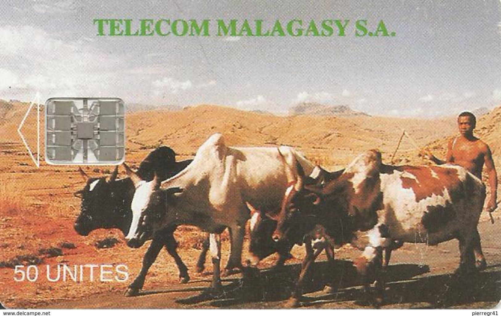 CARTE +PUCE-50U--SC7-MADAGACAR-ZEBUS-V° MIASA HO ANAO- Pt N° Rge C57151997 En Bas A Droite-TBE - Madagascar