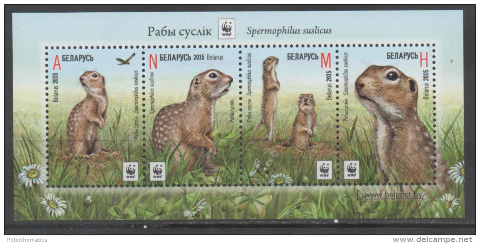 BELARUS; WWF, 2015,SPECKLED GROUND SQUIRREL , SHEETLET - Other & Unclassified