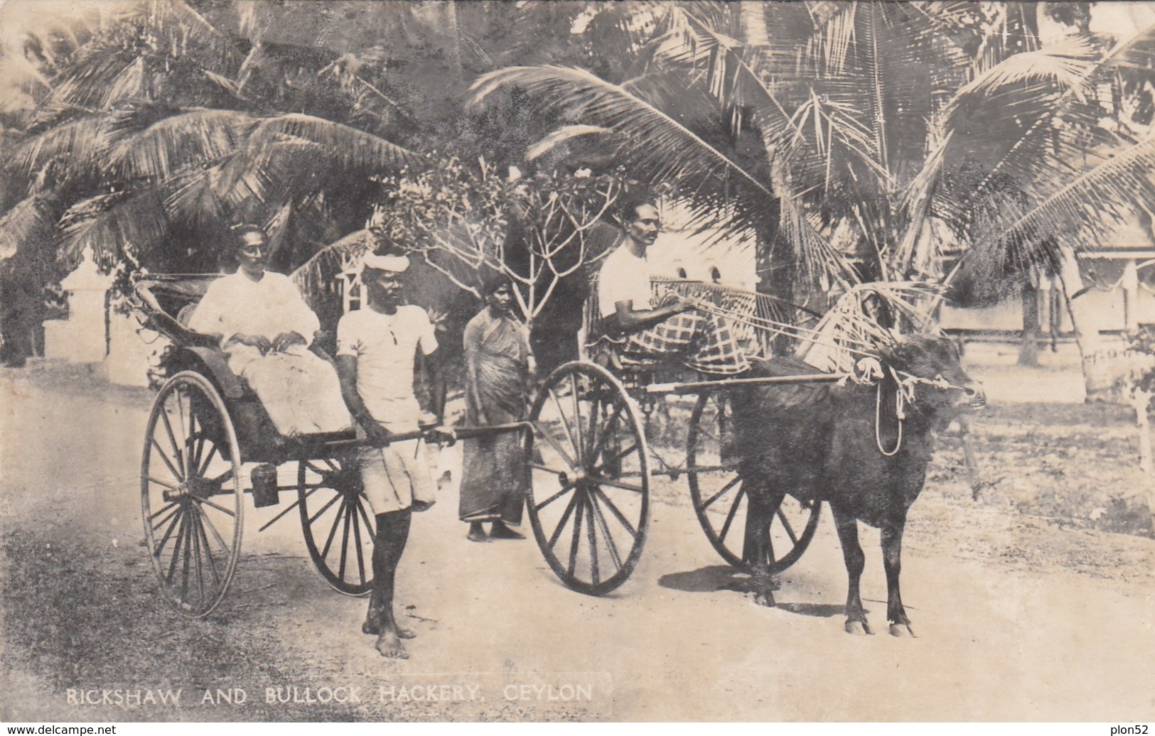 11360-CEYLON-RICKSHAW AND BULLOCK HACKERY-1948-FP - Sri Lanka (Ceylon)