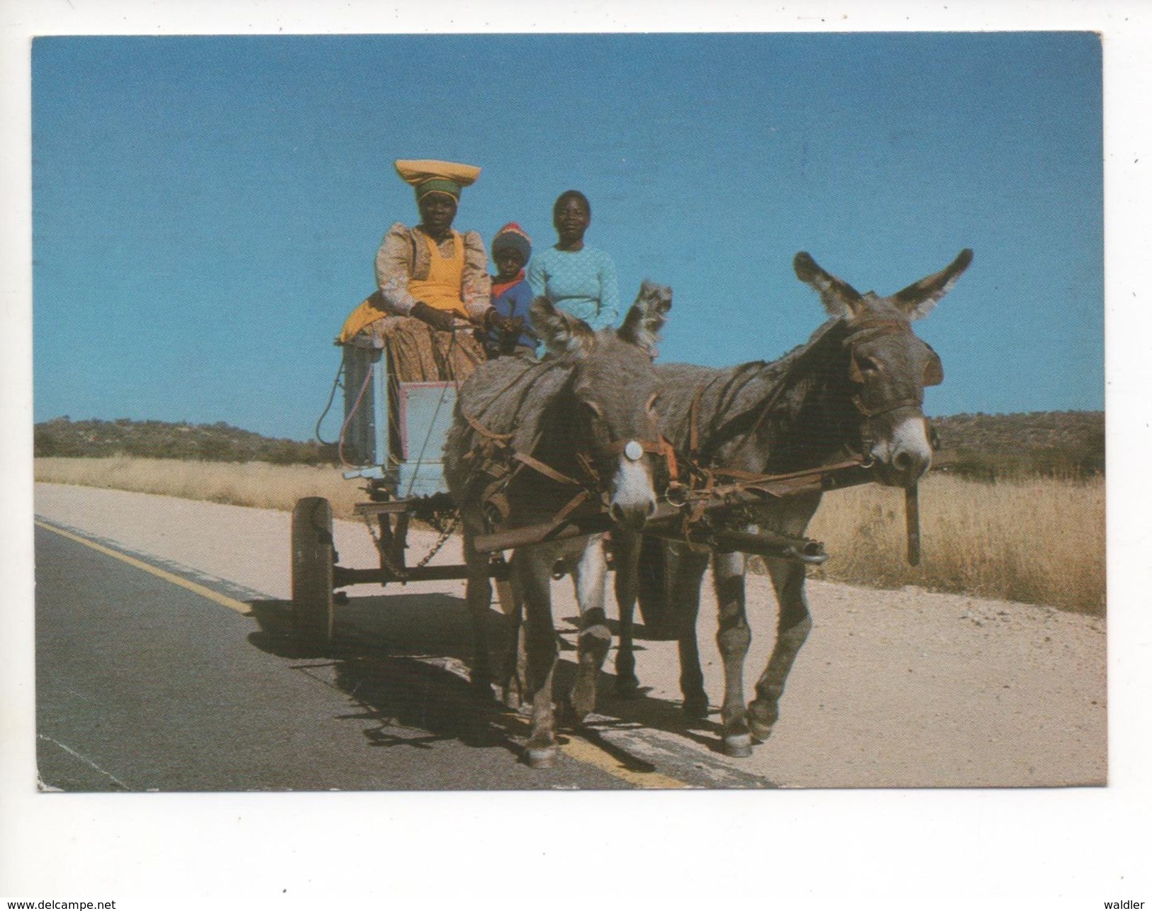 "DONKEYKARRE"  1984 - Namibie