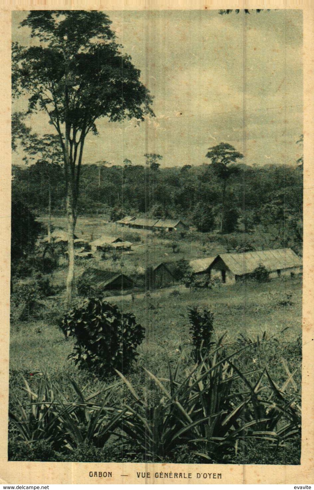 CPA  -   Gabon  -      Vue Générale D'OYEM - Gabon