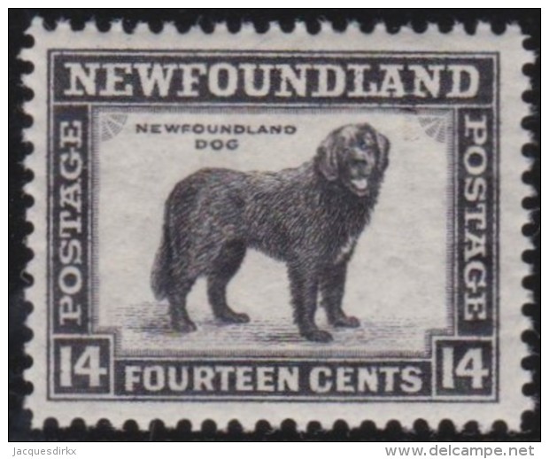 Newfoundland        .   SG   .     216         .      **      . Postfris     .   /   .  MNH - 1908-1947