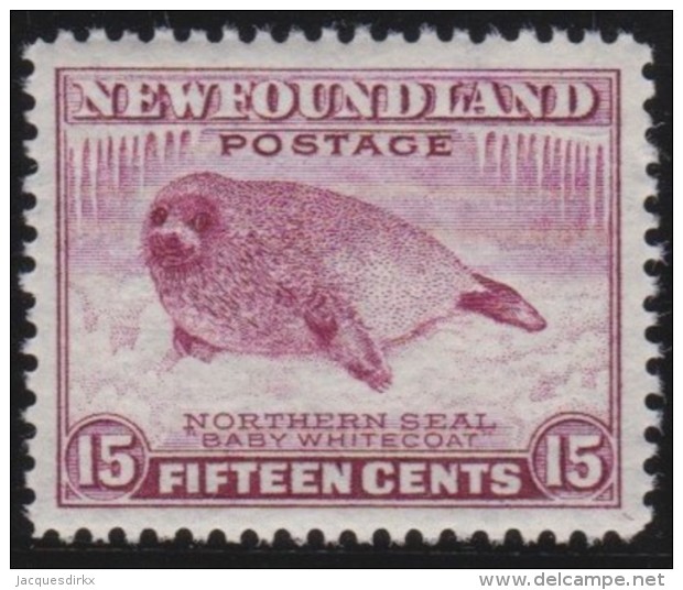 Newfoundland        .   SG   .     217        .      **      . Postfris     .   /   .  MNH - 1908-1947