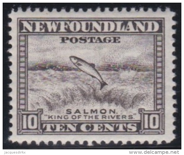 Newfoundland        .   SG   .     215           .      **      . Postfris     .   /   .  MNH - 1908-1947