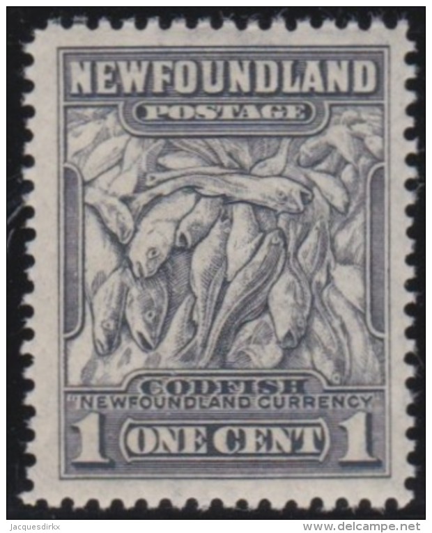 Newfoundland        .   SG   .     239       .      **      . Postfris     .   /   .  MNH - 1908-1947