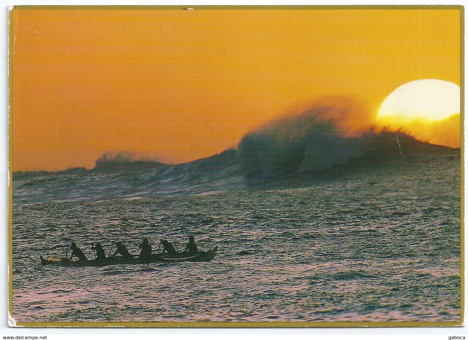 8590 USA Postcard Nature Transport Sport Canoe Rowing Water Wave - Aviron