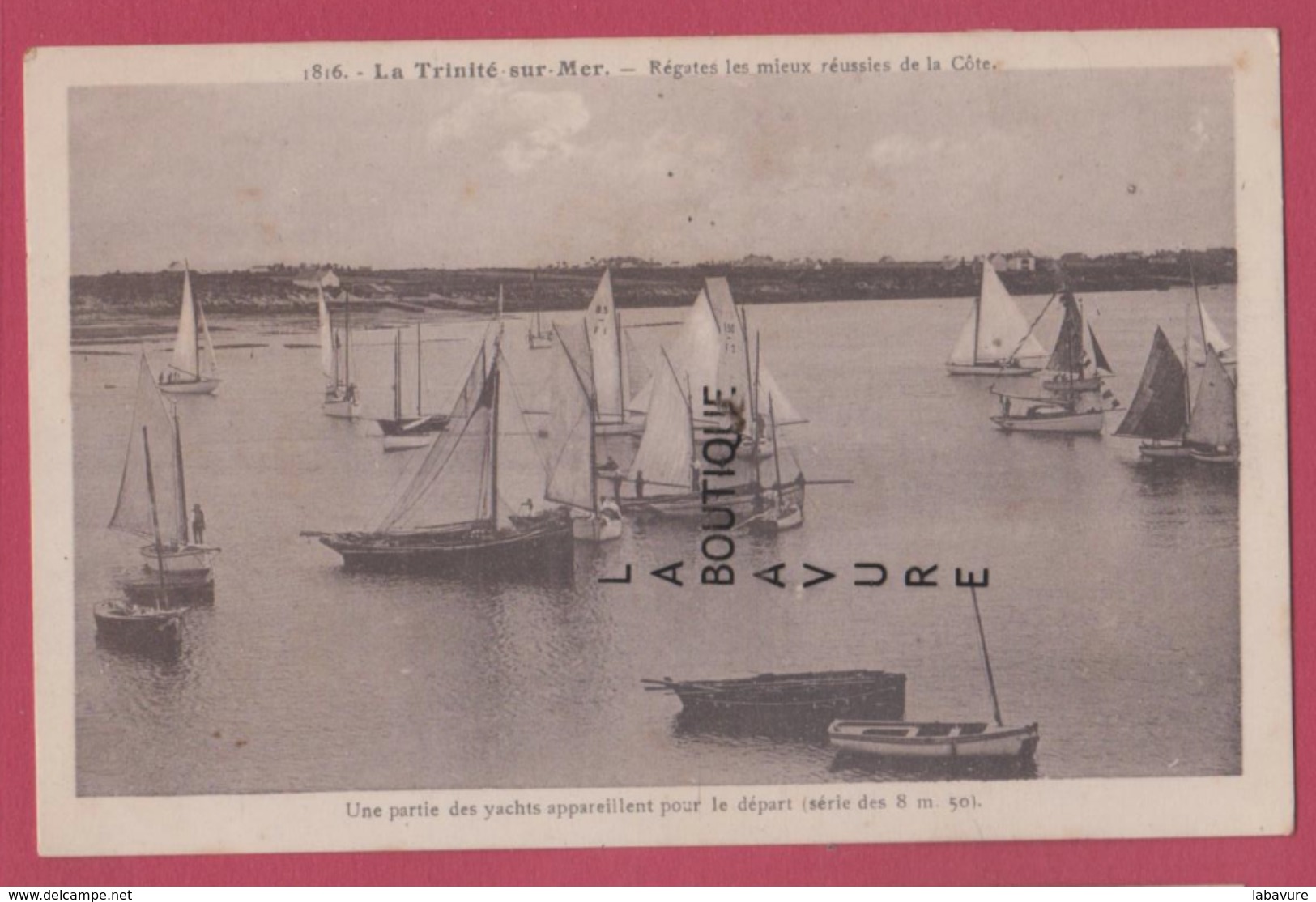 56 - LA TRINITE SUR MER--Régates Les Mieux Réussies De La Cote--bateaux--cpsm Pf - La Trinite Sur Mer