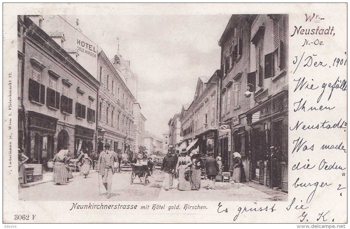 WR.NEUSTADT (NÖ) - Neunkirchnerstrasse Mit Hotel Gold.Hirschen, Gel.1901, Sehr Seltene Karte In Guter Erhaltung - Wiener Neustadt