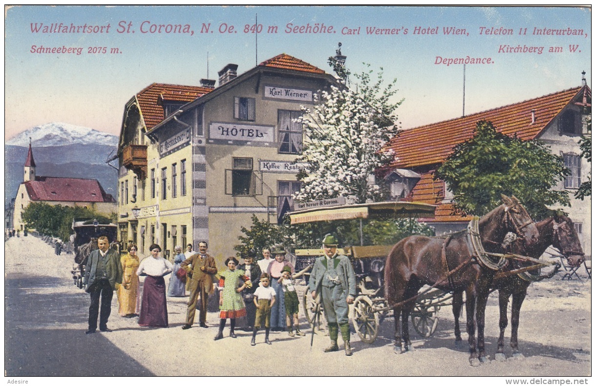 ST.CORONA (NÖ) - Karl Werner's Hotel Wien, Pferdekutsche, Sehr Schöne Seltene Karte 1916, Gute Erhaltung - Sonstige & Ohne Zuordnung