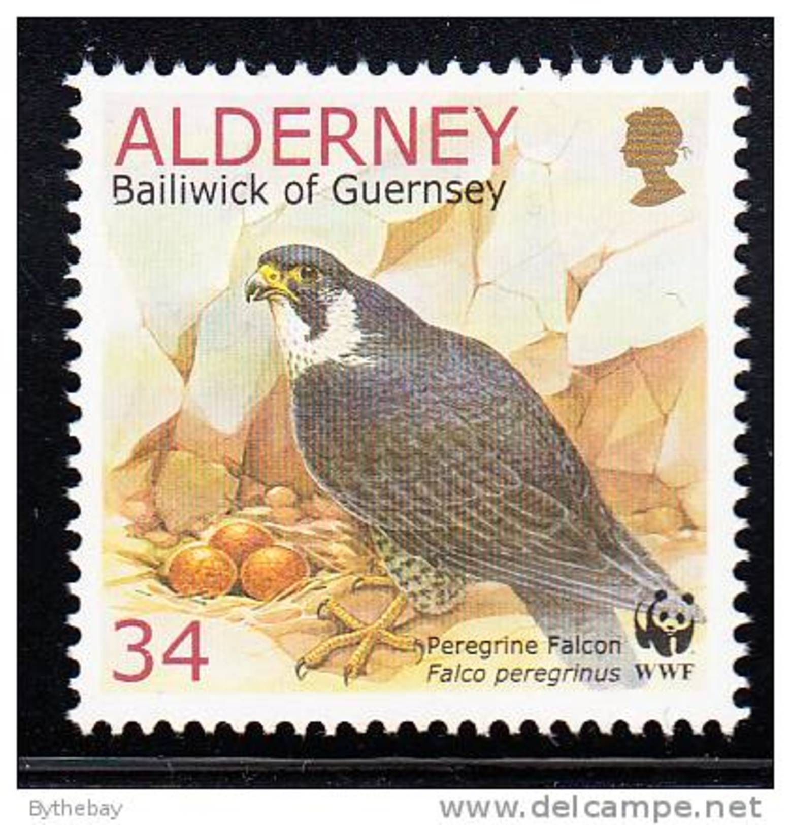 Alderney Scott #144 MNH 34p Peregrine Falcon With Eggs - Alderney