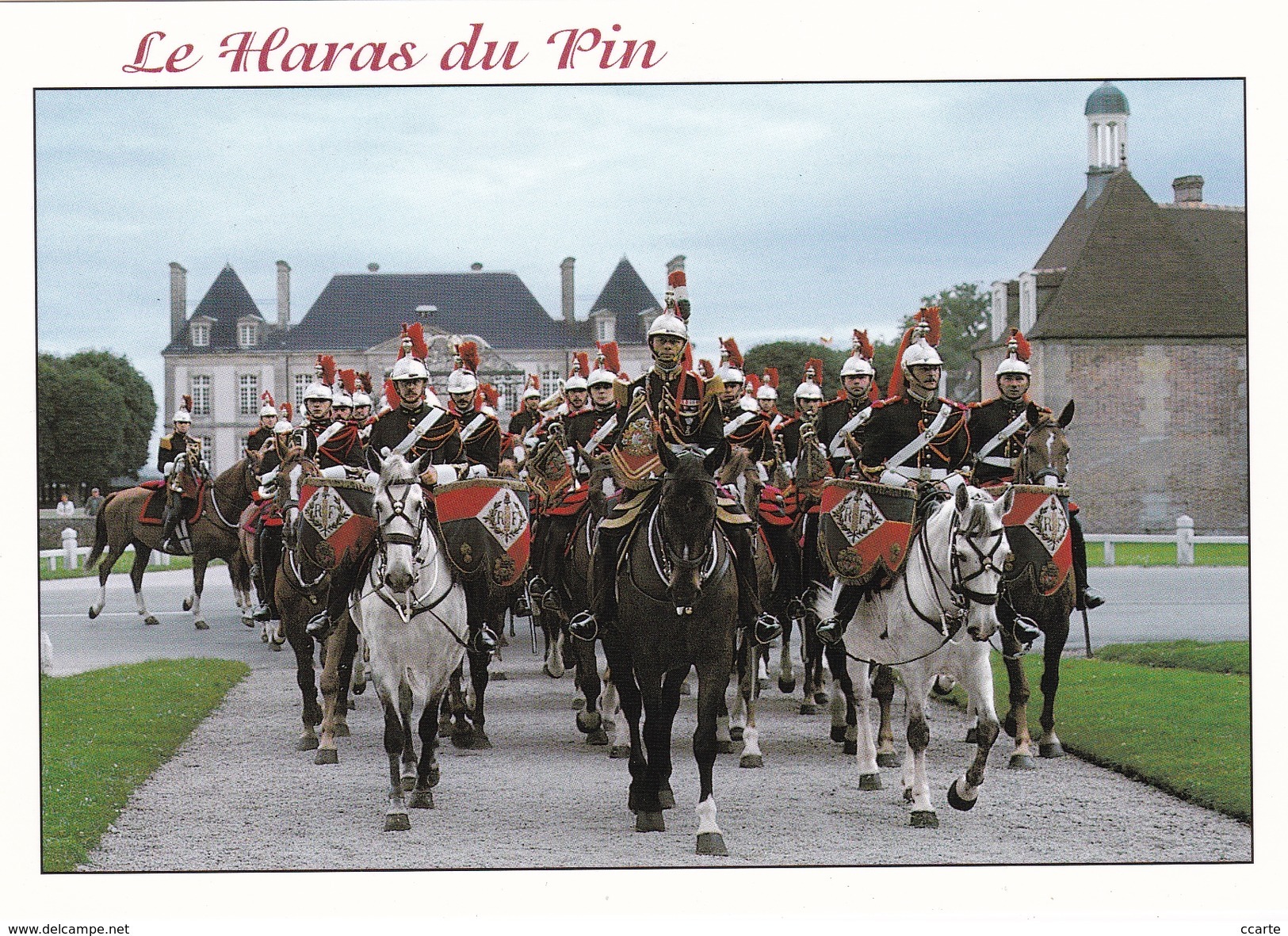 HIPPISME - HARAS - CHEVAUX - MILITARIA - DRESSAGE - La Garde Républicaine Au Haras Du Pin - CPM - Chevaux