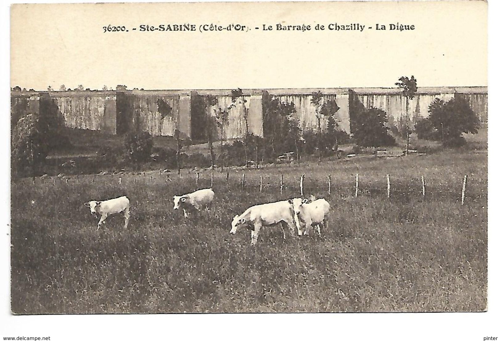 SAINTE SABINE - Le Barrage De Chazilly - La Digue - Autres & Non Classés