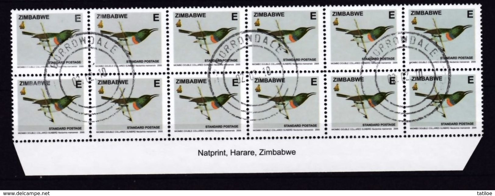 Zimbabwe 2005 Definitives Birds Interesting Group, VFU / Used / O (Simbabwe) - Zimbabwe (1980-...)