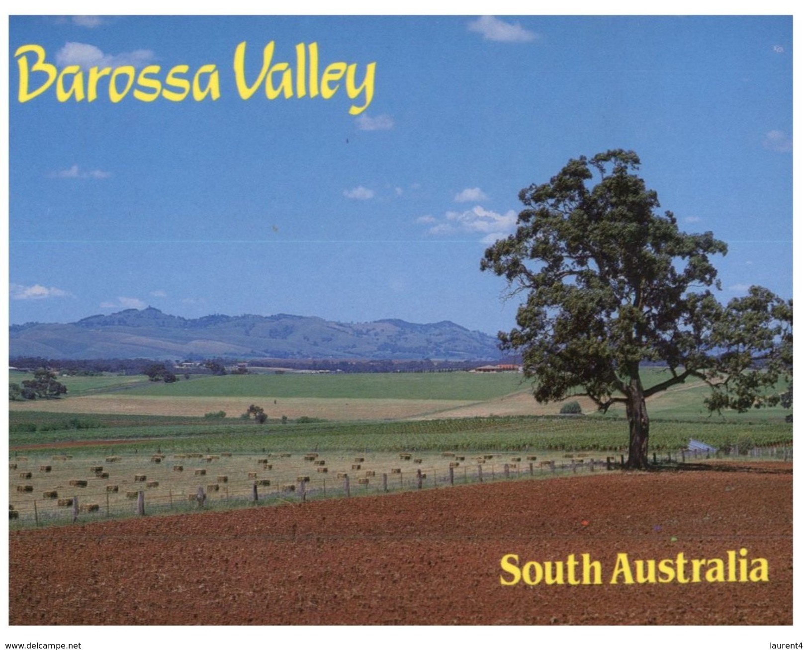 (PH 208) Australia - (with Stamp At Back Of Card) - SA - Barossa Valley - Barossa Valley