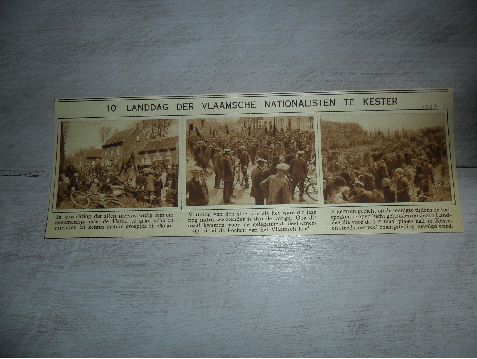 Origineel Knipsel ( 940 ) Uit Tijdschrift :  10° Landdag Der Vlaamsche Nationalisten Te Kester  1929 - Ohne Zuordnung