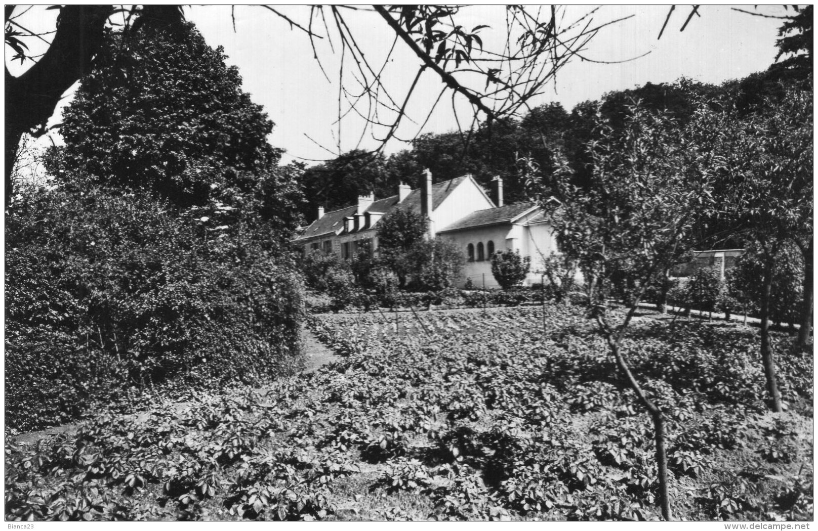 B42243 Limours, Villa Ste Marie - Autres & Non Classés