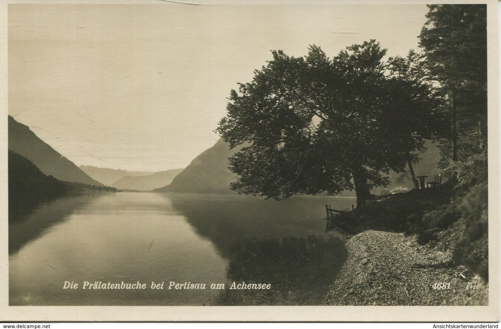 Die Prälatenbuche Bei Pertisau Am Achensee (002783) - Pertisau