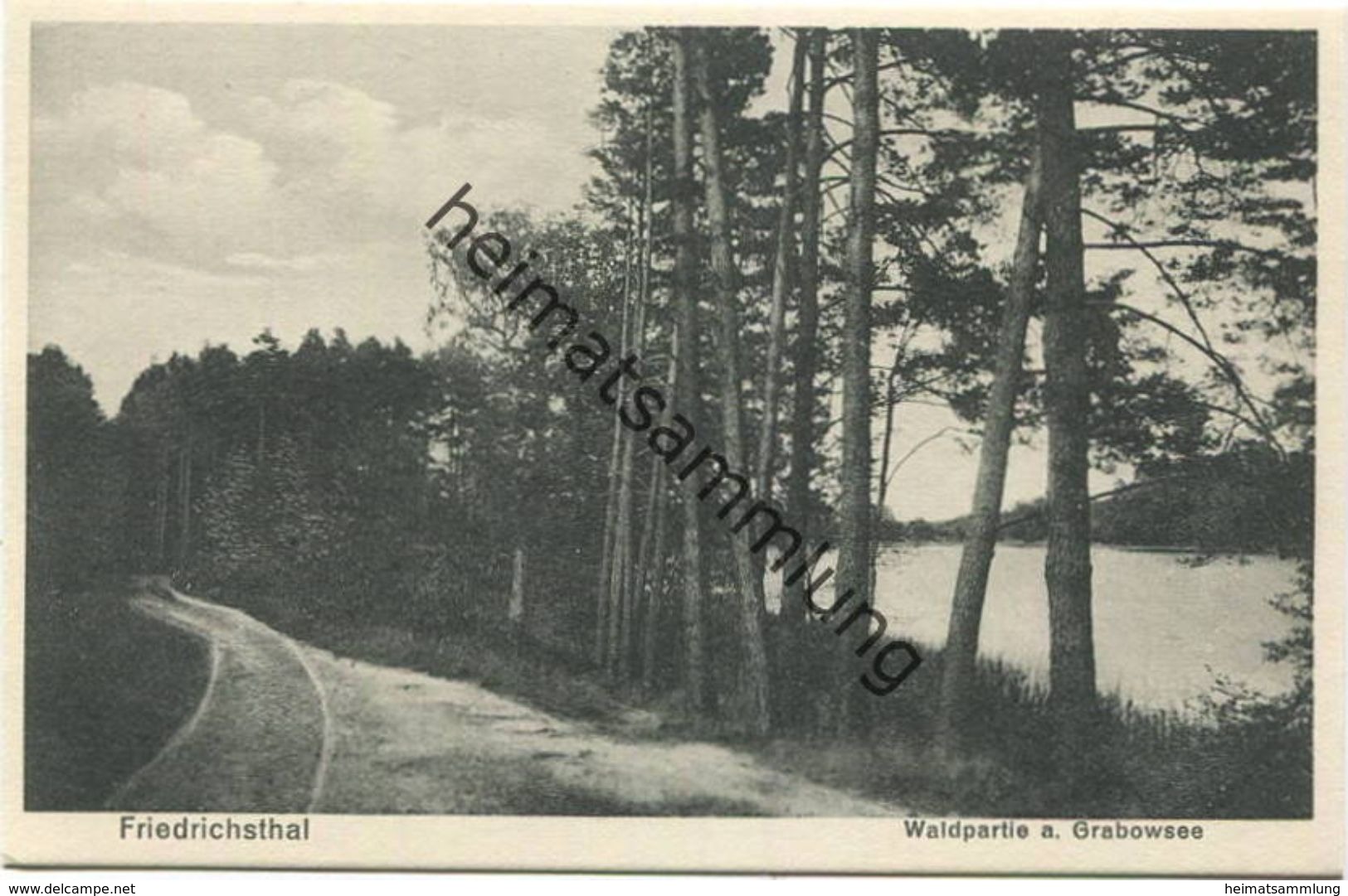 Friedrichsthal - Waldpartie Am Grabowsee 30er Jahre - Verlag Willi Mathaus Berlin - Oranienburg