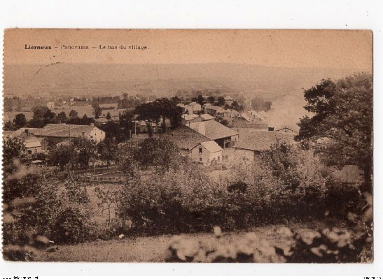 37 - LIERNEUX - Panorama   -  Le Bas Du Village - Lierneux