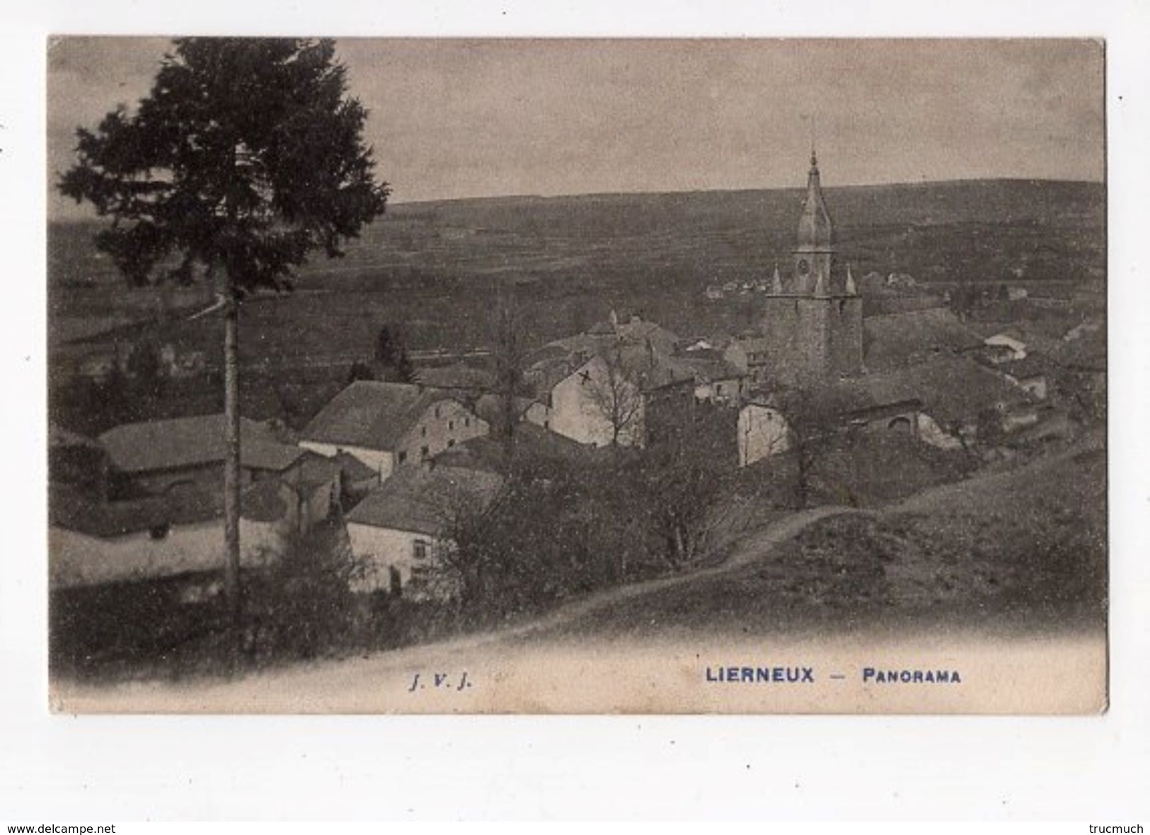 38 - LIERNEUX - Panorama - Lierneux